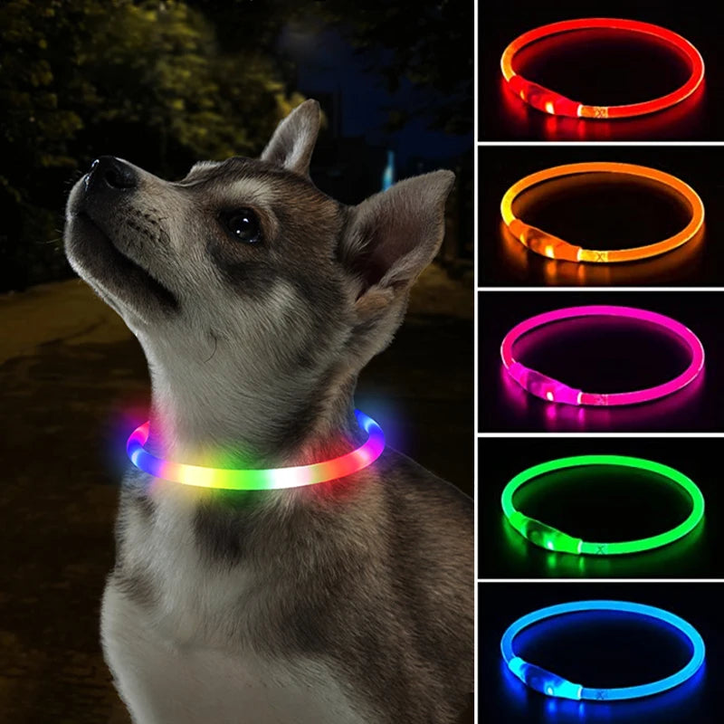 Recarregável LED coleira de cão brilhante, Piscando ajustável, Luminous Collar Luminous, Night Anti-Lost Dog Light Harness, Pequenos produtos Pet